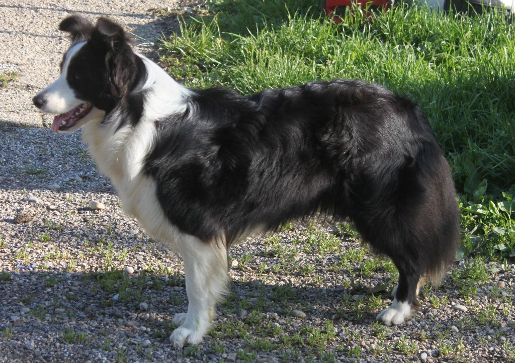 Lady lya best love star du Paradis des P'tits Cracks