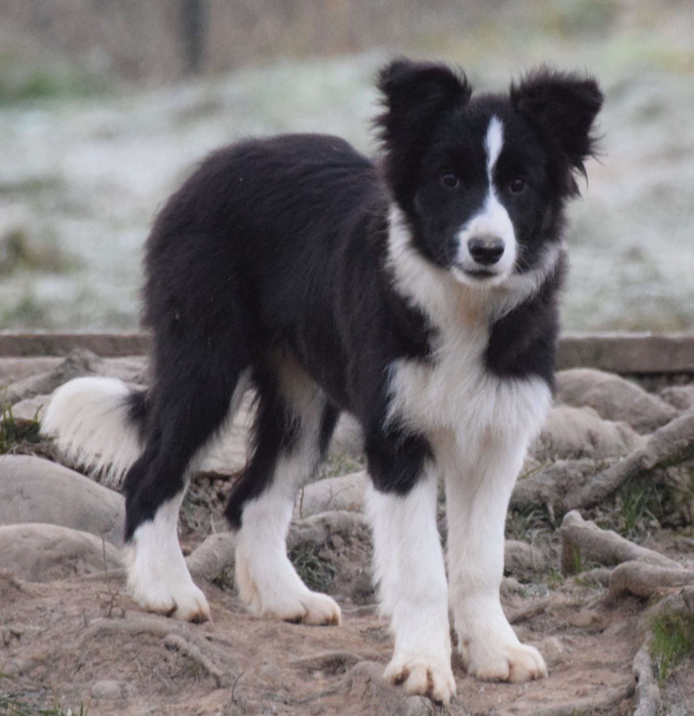 AFTER JUST FOLLOWING A STORY De La Vallee Du Douro